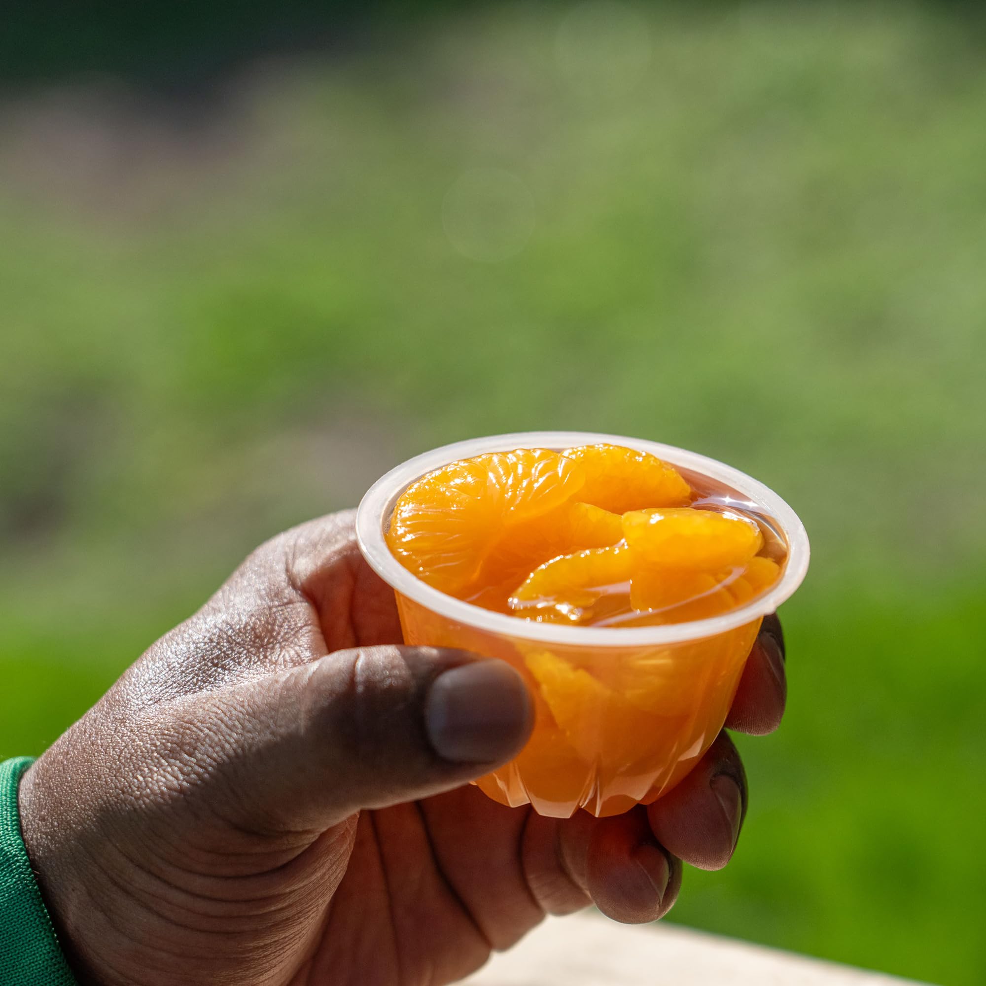 Dole Mandarin Oranges in 100% Juice - 24 Pack of 4oz Fruit Cups | Gluten Free, Dairy Free, Healthy Snacks for Kids & Adults | Perfect for School Lunches, Office Snacks & On-the-Go Refreshment
