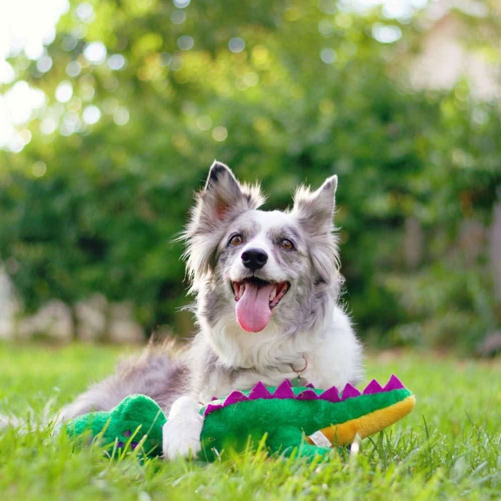 ZippyPaws Grunterz Grunting Plush Large Dog Toy - Alvin the Alligator Squeaky Chew Toy for Big Dogs | Interactive Playtime & Fetch Game Companion