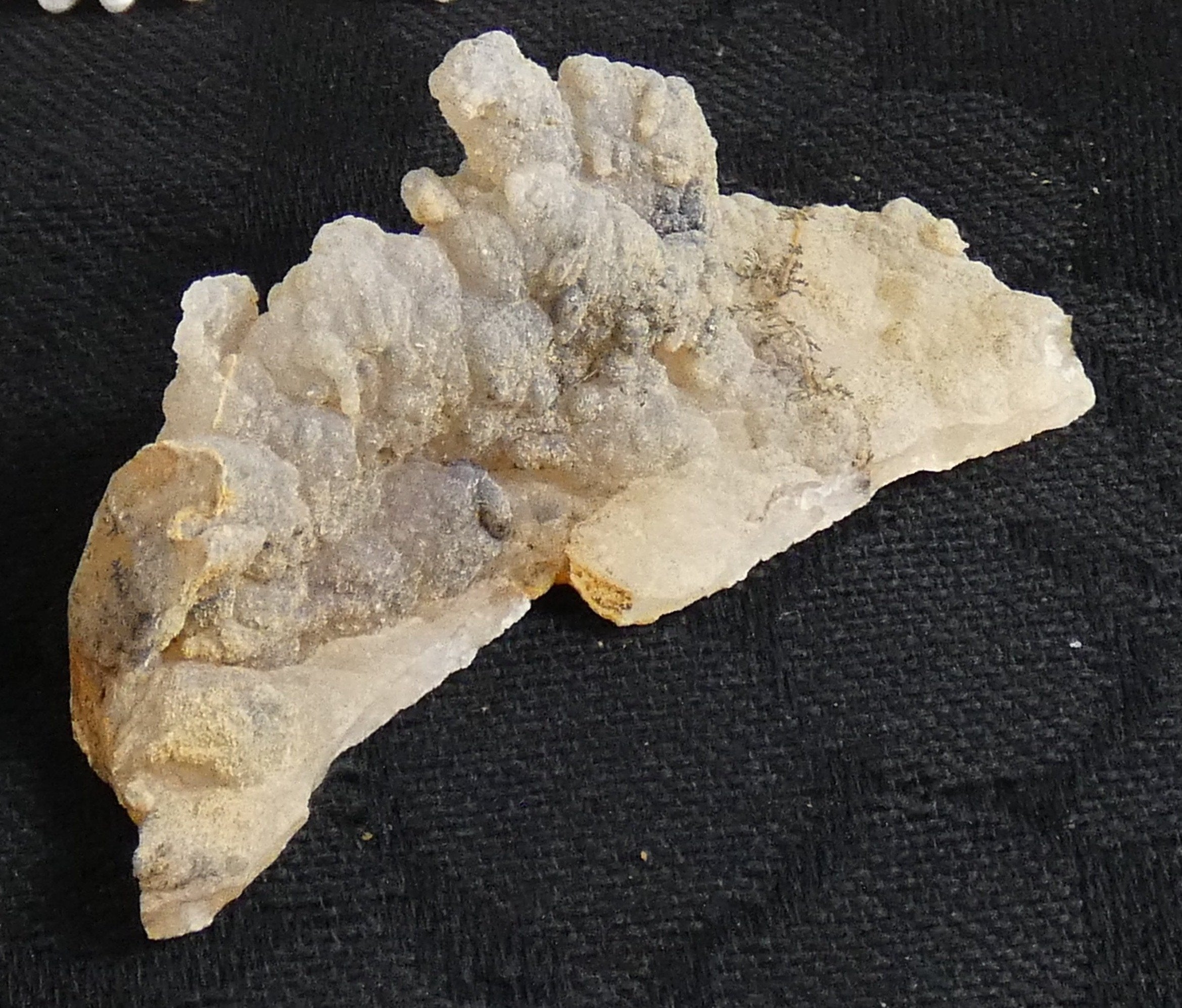 Angel Wing Agates - Natural Healing Crystals for Meditation, Home Decor & Jewelry Making | Perfect for Spiritual Gifts & Crystal Collections