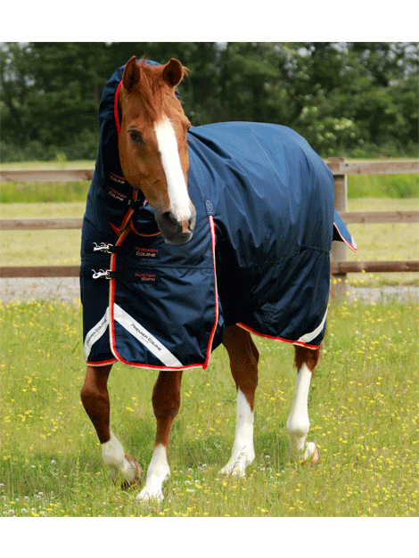Premier Equine Buster 200g Turnout Combo with Snug Neck - Heavyweight Winter Horse Blanket for Cold Weather Riding & Stable Use
