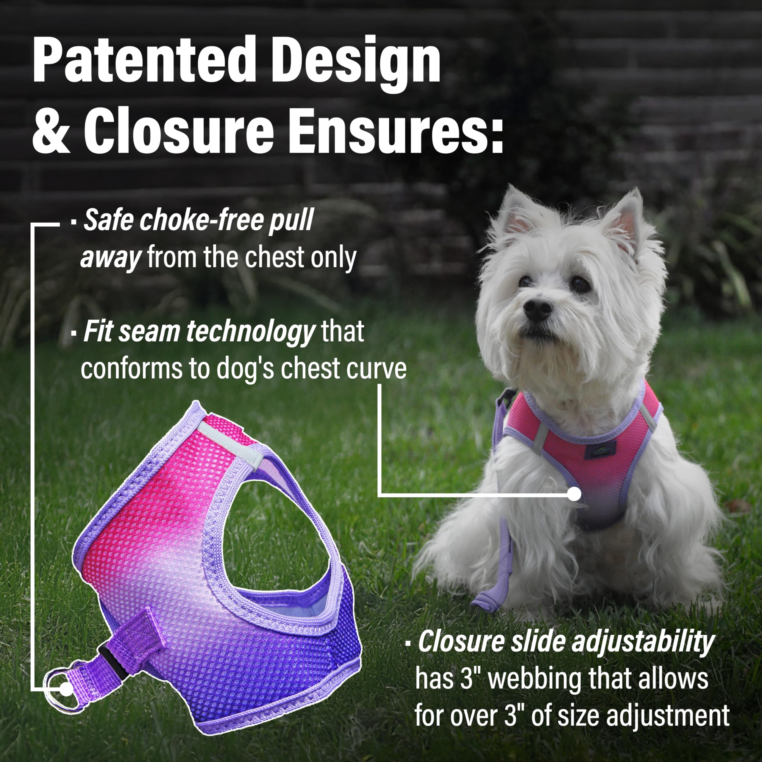 Doggie Design No-Choke Dog Harness - Breathable Mesh Polyester Pet Vest with Easy Step-in Design for Small & Medium Dogs | Raspberry Sundae Color | Perfect for Walking, Hiking & Outdoor Adventures