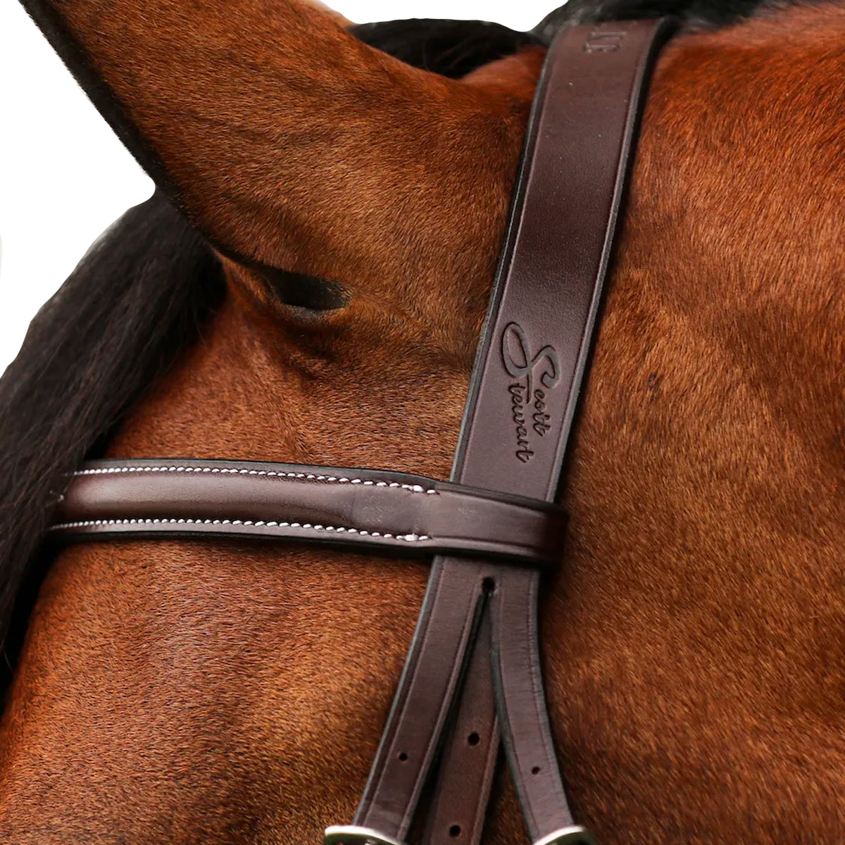 Equiline Scott Stewart Hunter Bridle - Premium English Equestrian Bridle for Show Jumping & Dressage | Perfect for Competitions & Training