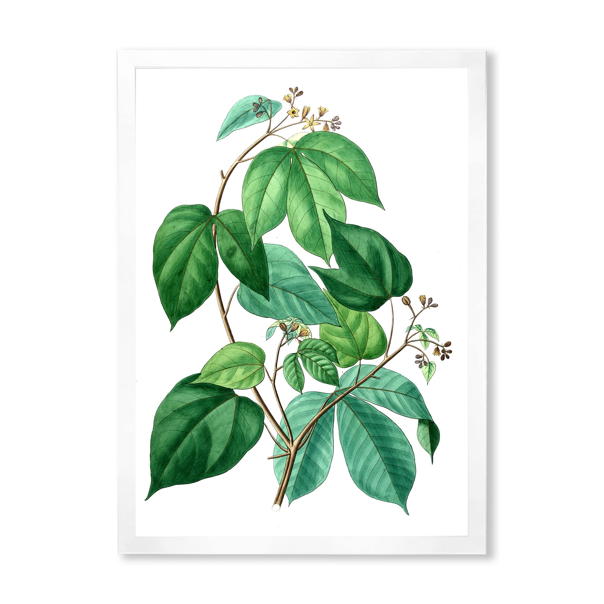 Vintage Green Leaves Plants III Traditional Framed Wall Art - Botanical Home Decor for Living Room, Bedroom & Office - Perfect for Housewarming Gifts & Interior Design