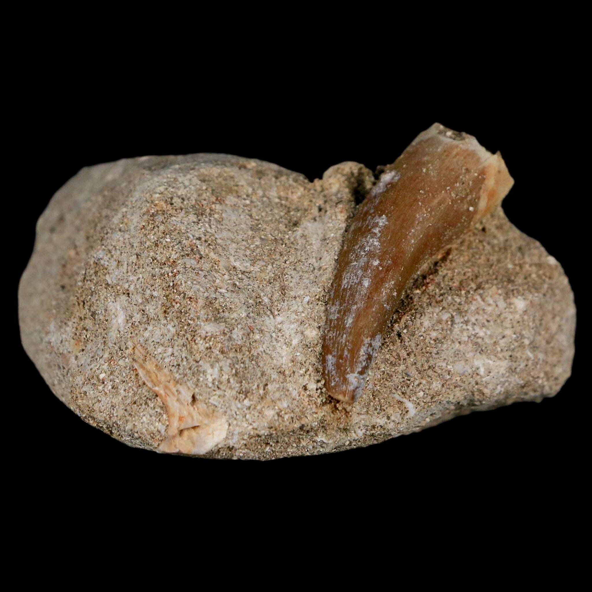 1.6