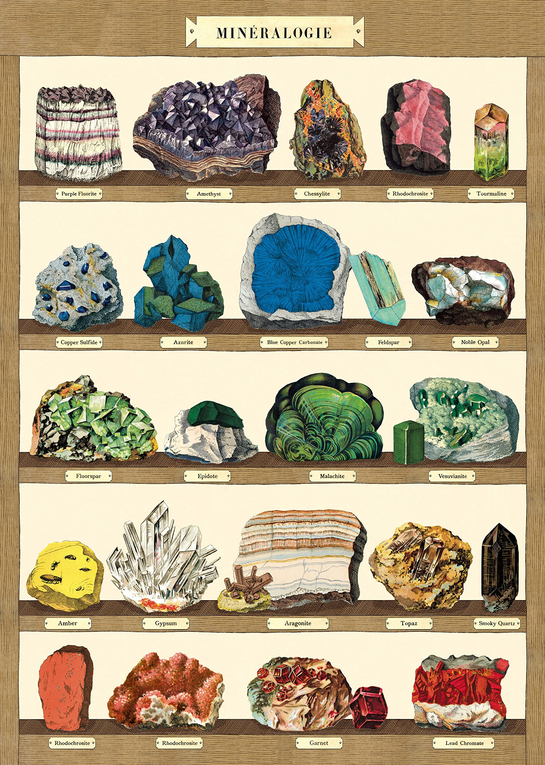 Vintage Mineralogy Poster - Cavallini & Co. Decorative Wrap, 20