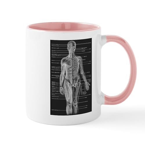 White/Pink Inside - Human Anatomy Chart Mug
