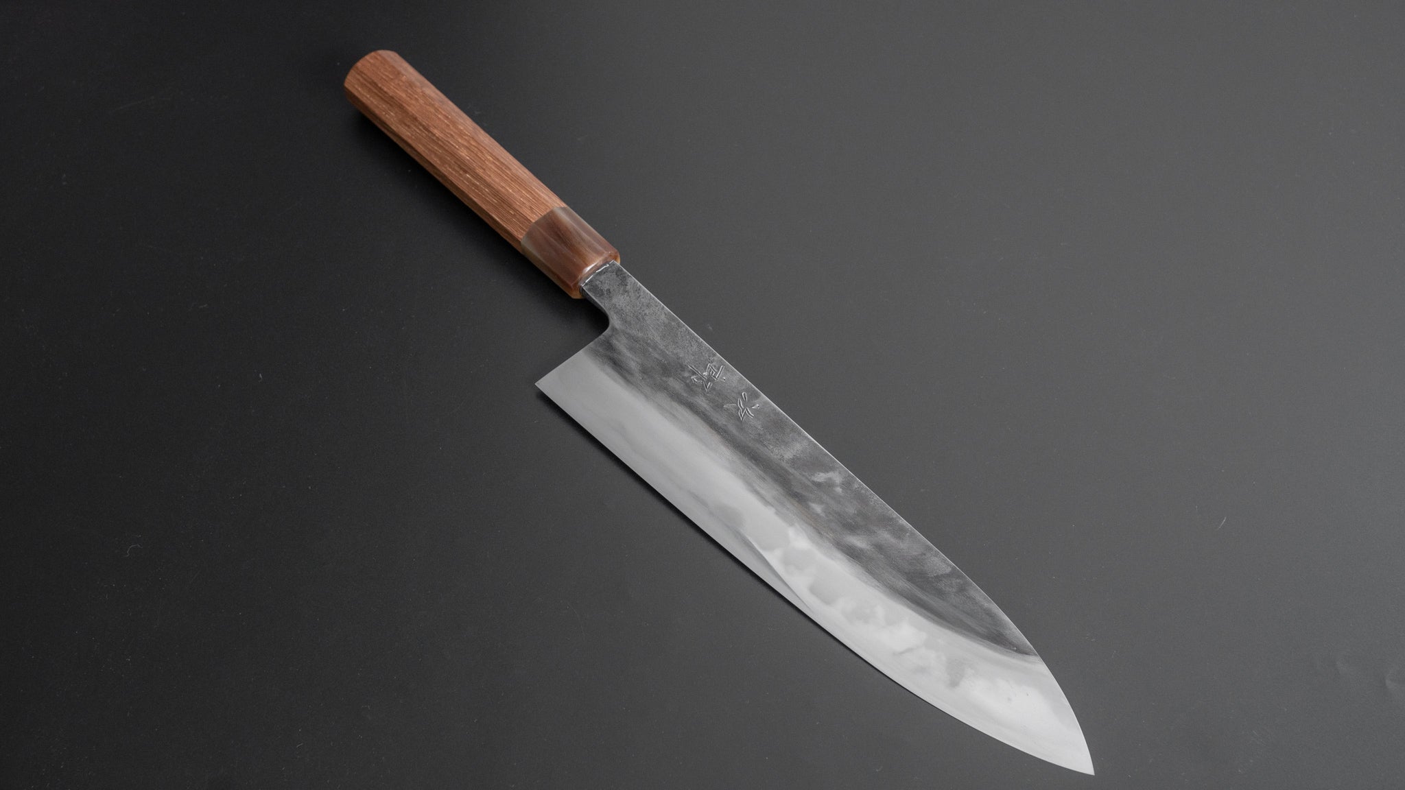 Premium Jiro Tsuchime Wa Gyuto 240mm Japanese Chef Knife with Taihei Tagayasan Handle (#217) - Perfect for Sushi, Meat Slicing & Professional Kitchen Use