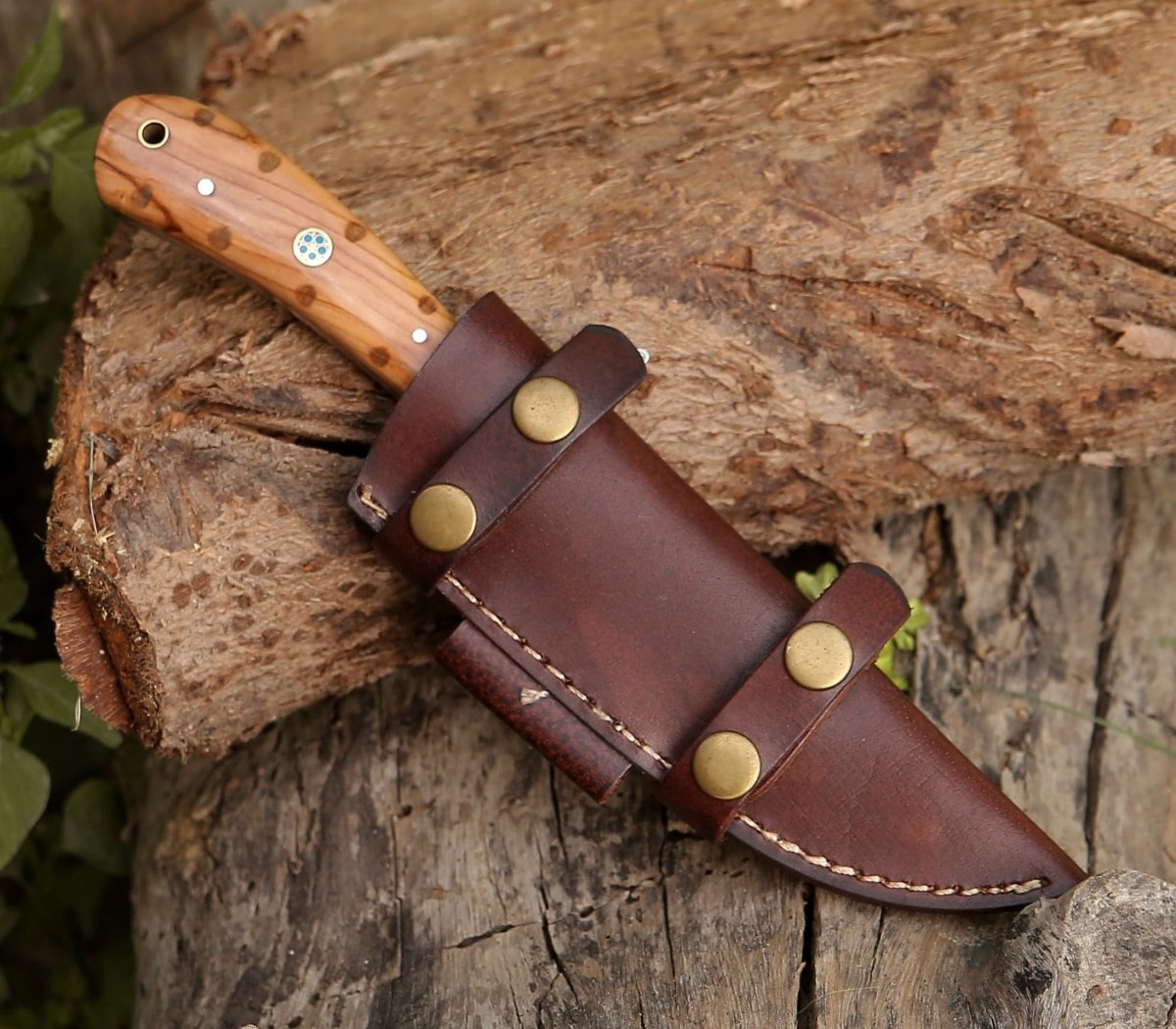 Premium Spectral Field Dressing Knife with Olive Wood Handle - Hunting, Camping & Outdoor Survival Tool for Game Processing and Bushcraft