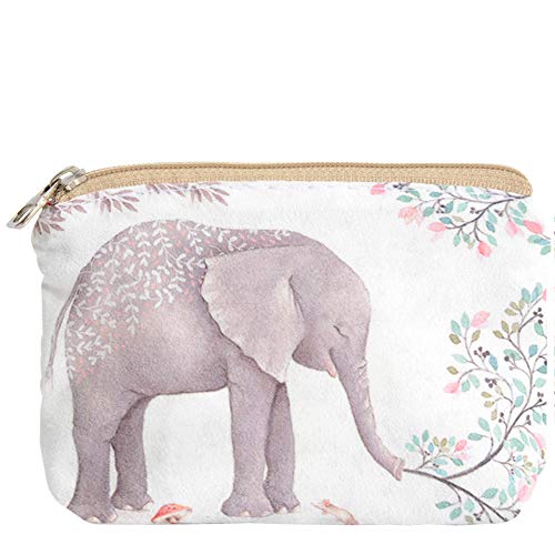 Cute Forest Elephant