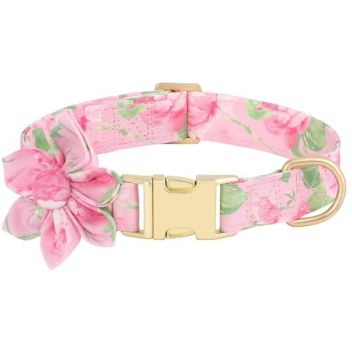 A-Pink Flower