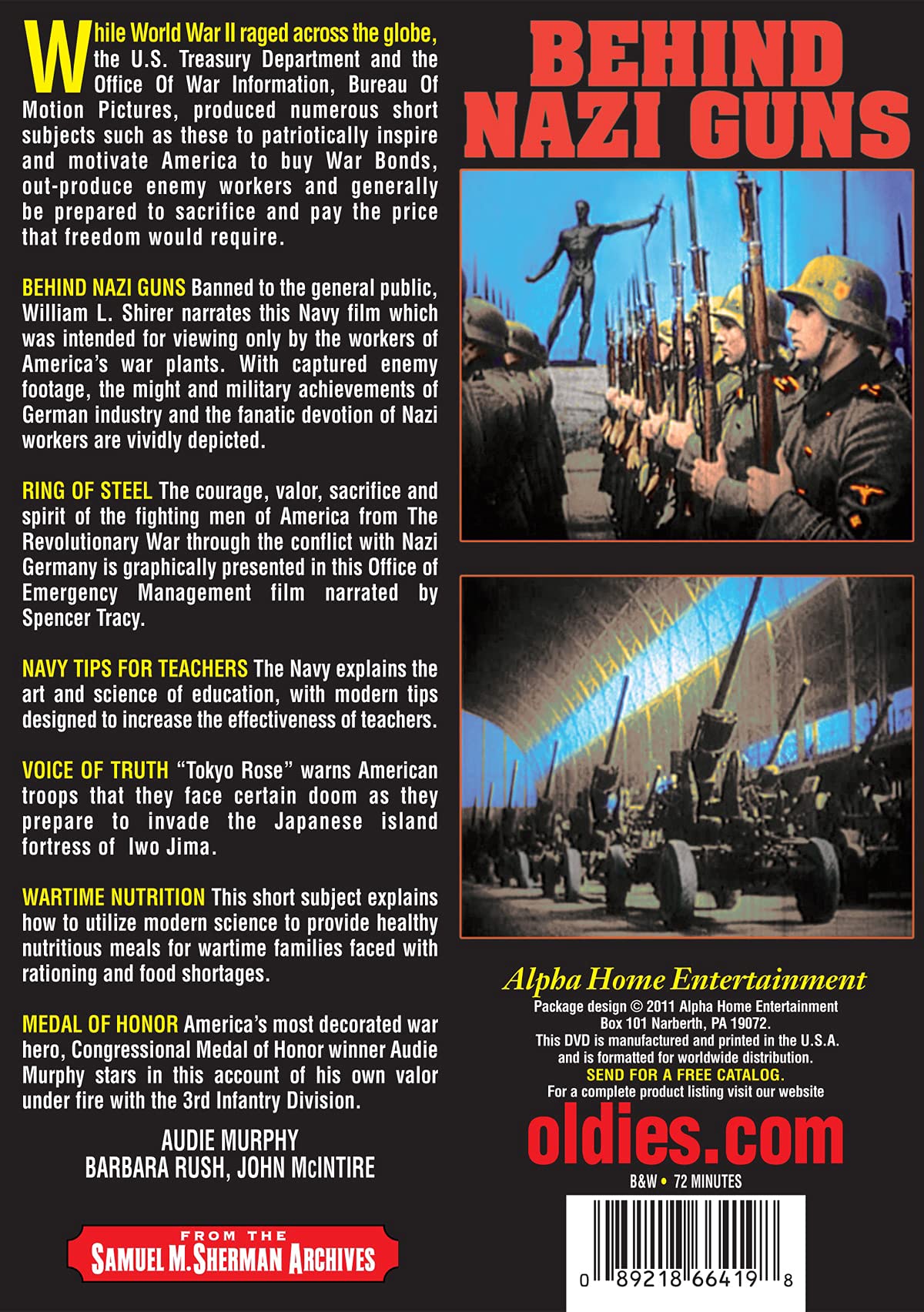 WWII History Book - Behind Nazi Guns: The Untold Stories of World War II | Military History, Nazi Germany, War Strategies | Perfect for History Buffs & WWII Enthusiasts