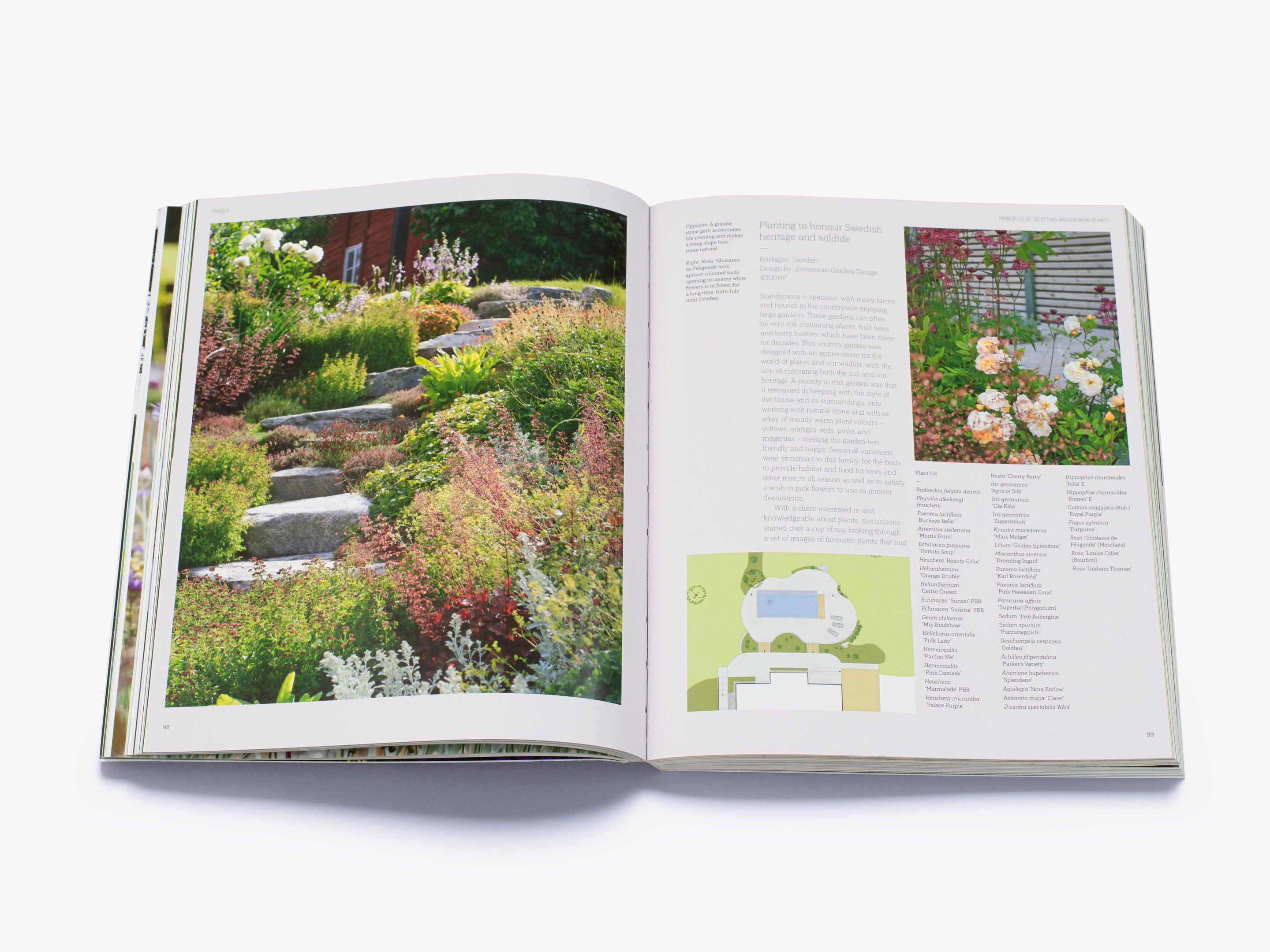 New Nordic Gardens - Premium Scandinavian-Inspired Outdoor & Indoor Plant Decor for Home, Office & Patio | Perfect for Modern Living Spaces & Urban Gardening