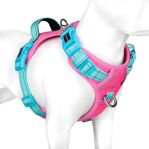 Pink Base & Green Straps