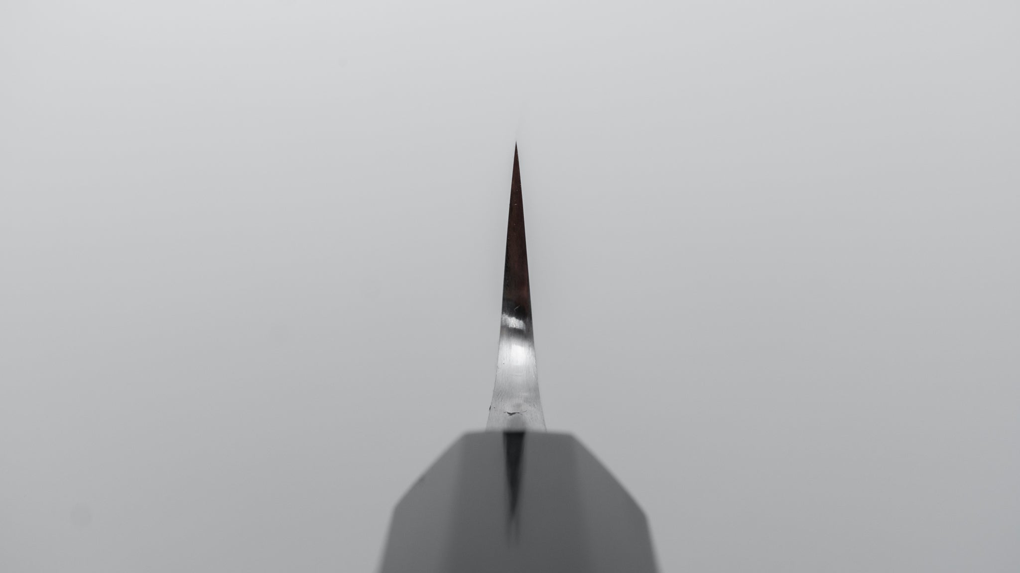 Premium Jiro Tsuchime Wa Sujihiki 210mm Japanese Slicing Knife - Taihei Tagayasan Handle (#662) - Perfect for Sushi, Sashimi & Meat Slicing