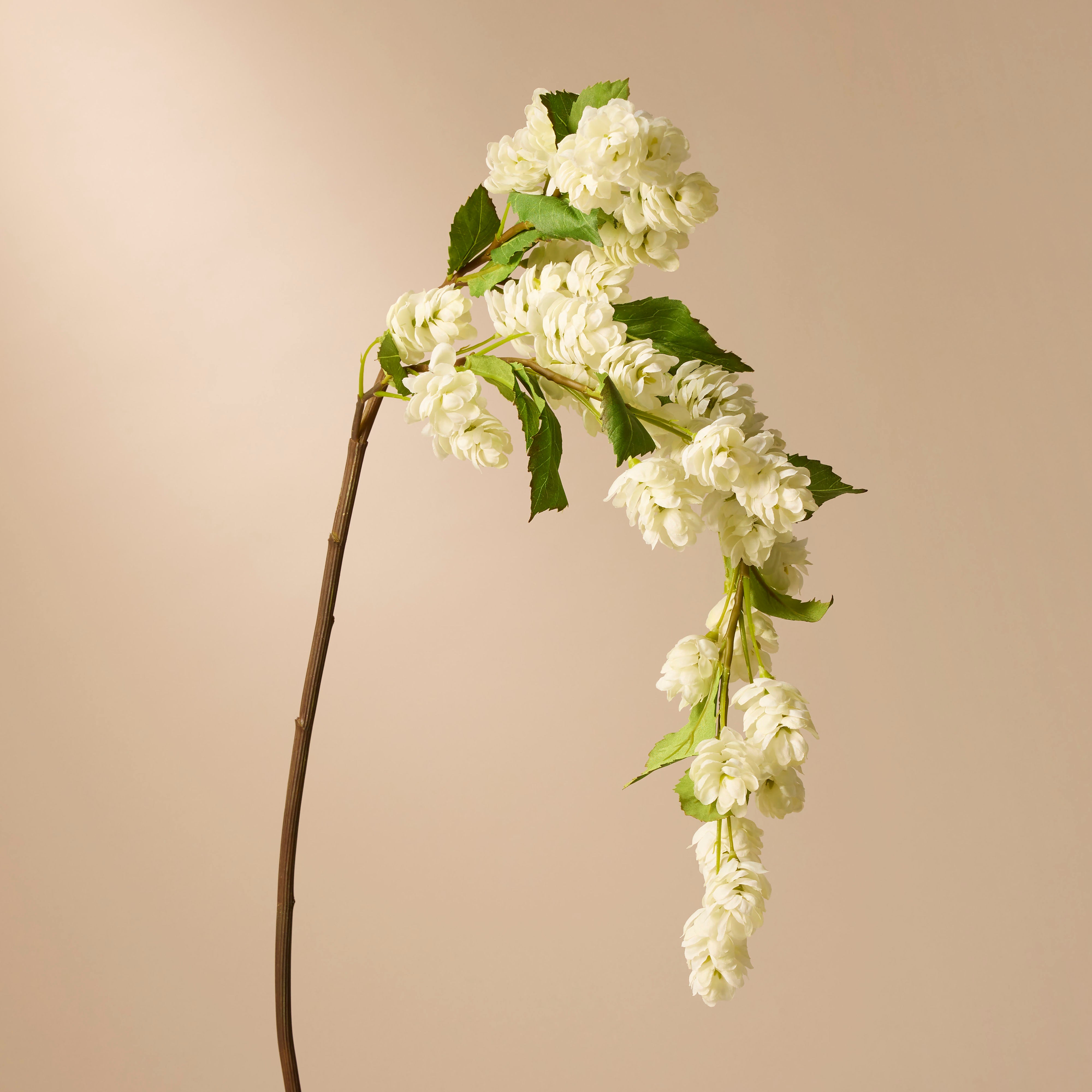 Premium Hops Flower Stem Bedford Vase 23cm | Set of 3 Elegant Bird Decorations - Perfect for Home Decor, Wedding Centerpieces & Farmhouse Style Interiors