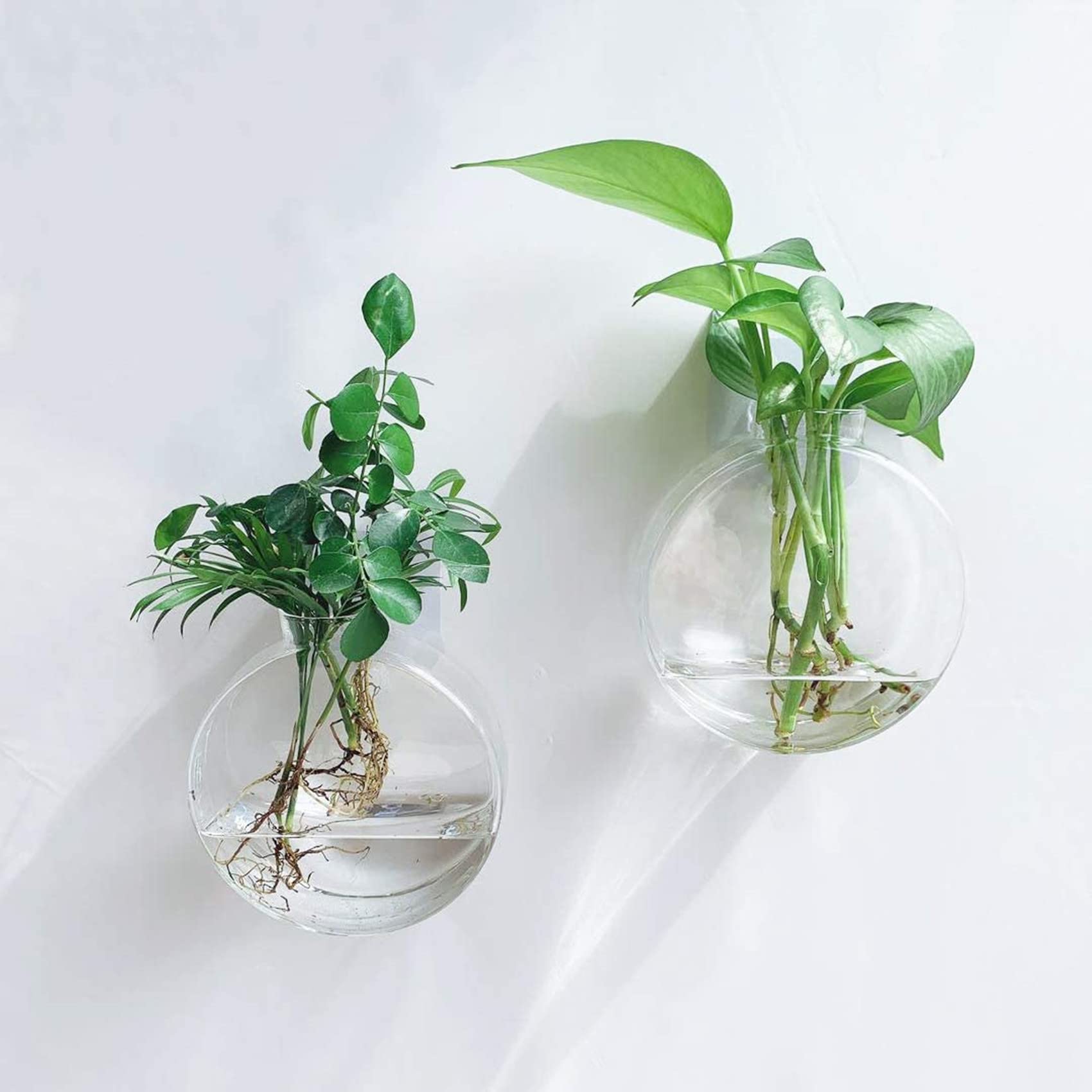 LB Hanging Glass Terrarium Planter - 2 Pack Air Plant Holder, Wall Mounted Flower Vase for Hydroponic Plants | Perfect for Home, Office & Garden Decor, Indoor Vertical Garden Display