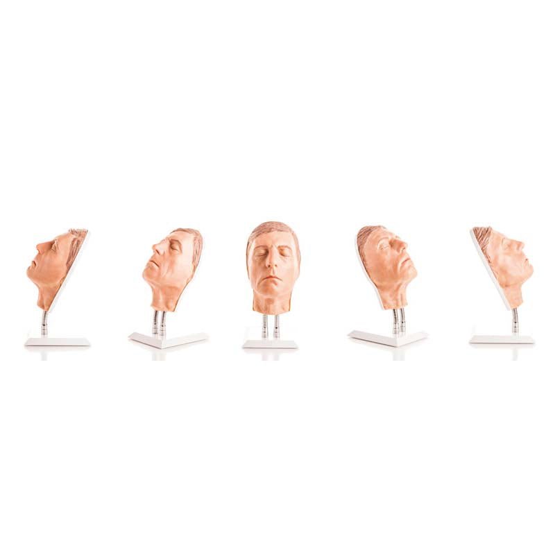 Professional Facial Injection Head Model for Medical Training - Light Skin Aged Male (Version D) - Ideal for Dermatology & Aesthetic Practice, Cosmetology Schools, and Injection Technique Demonstration