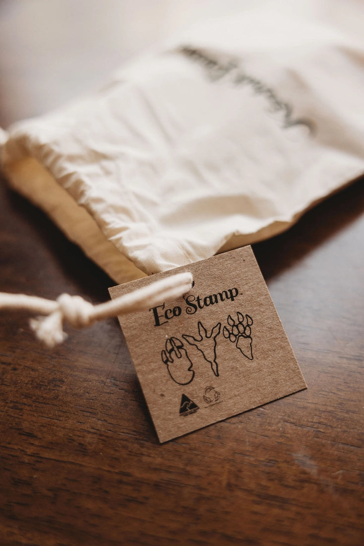 Dinosaur Footprint Eco-Friendly Stamp Set for Kids - Creative Arts & Crafts, Scrapbooking, and DIY Projects