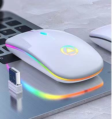 2.4GHz Wireless Mouse with 3 Adjustable DPI (1000/1200/1600) - Ergonomic Computer Mouse for Laptop, PC, Desktop & Notebook - Perfect for Office Work, Gaming & Travel Use