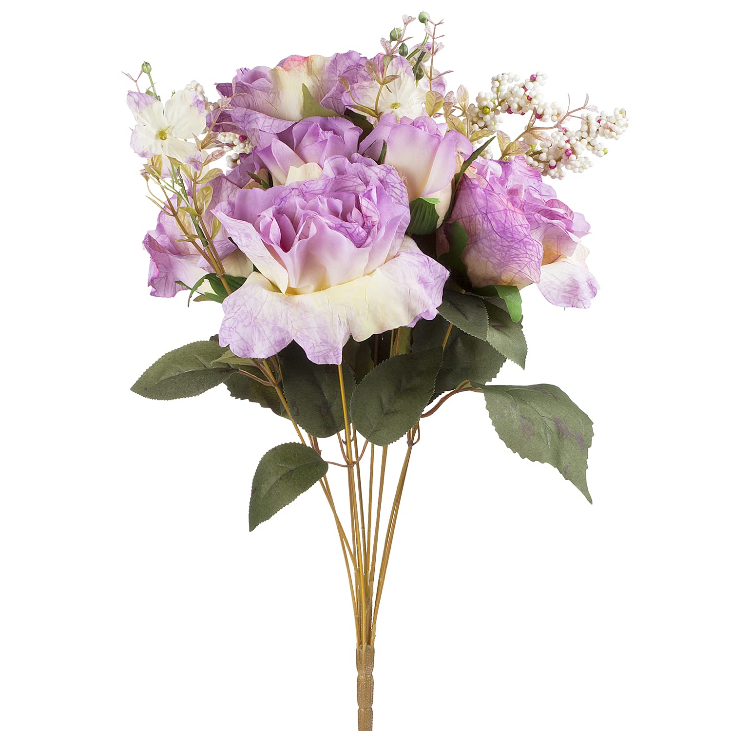 Enova Floral 20