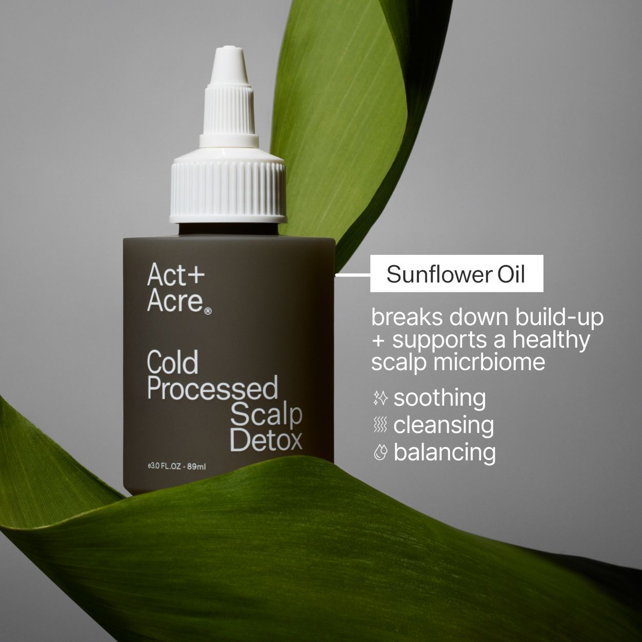 Organic Cold Processed Scalp Detox Shampoo for Dandruff & Itchy Scalp Relief - Natural Hair Care for Dry, Flaky Scalp - Perfect for Daily Use & Sensitive Scalp Treatment