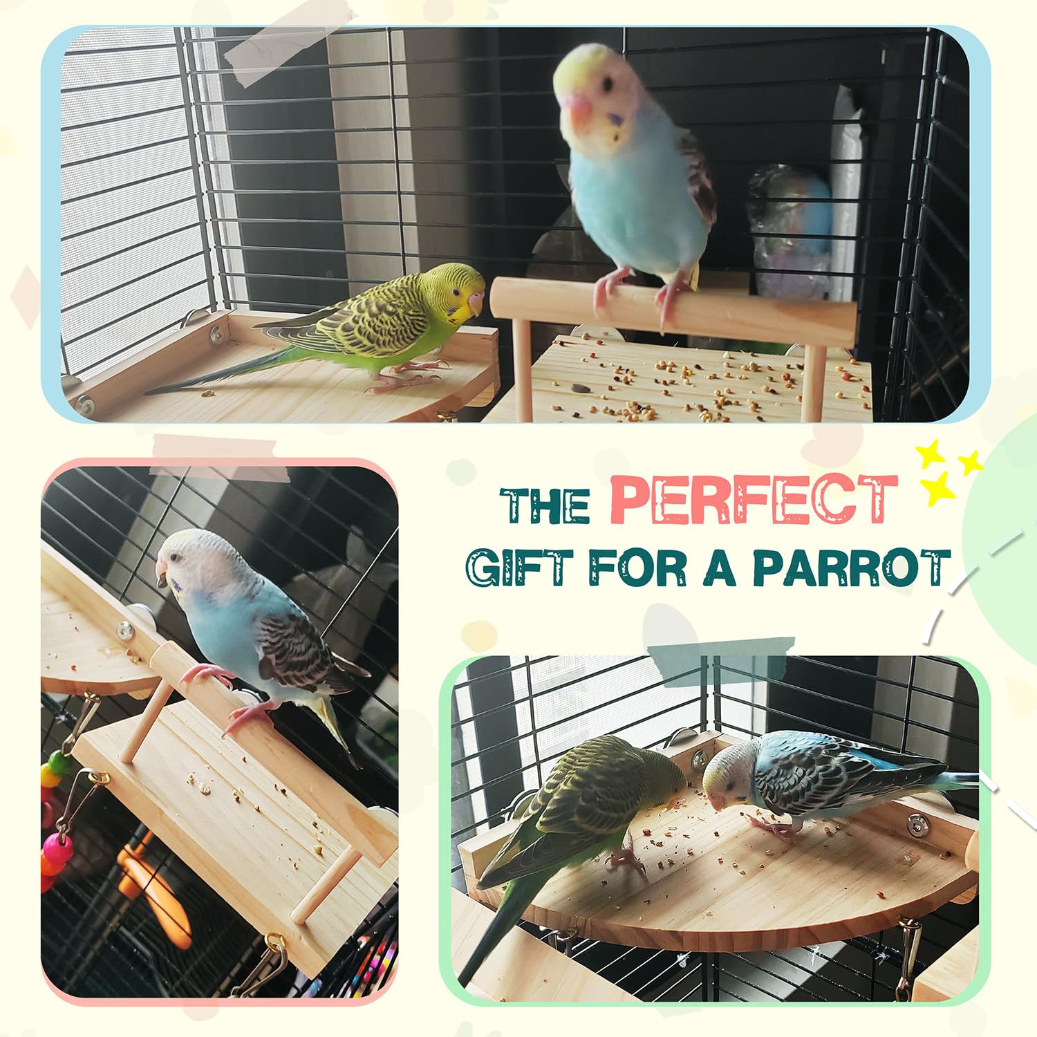3PCS Natural Wood Bird Perches Platform Swing with Climbing Ladder - Safe Bungee Chew Toys for Parrots, Lovebirds, Budgies, Chinchillas & Small Pets - Cage Accessories for Climbing, Playing & Exercise - Perfect for Green Cheek Conures, Hamsters & Pet Birds