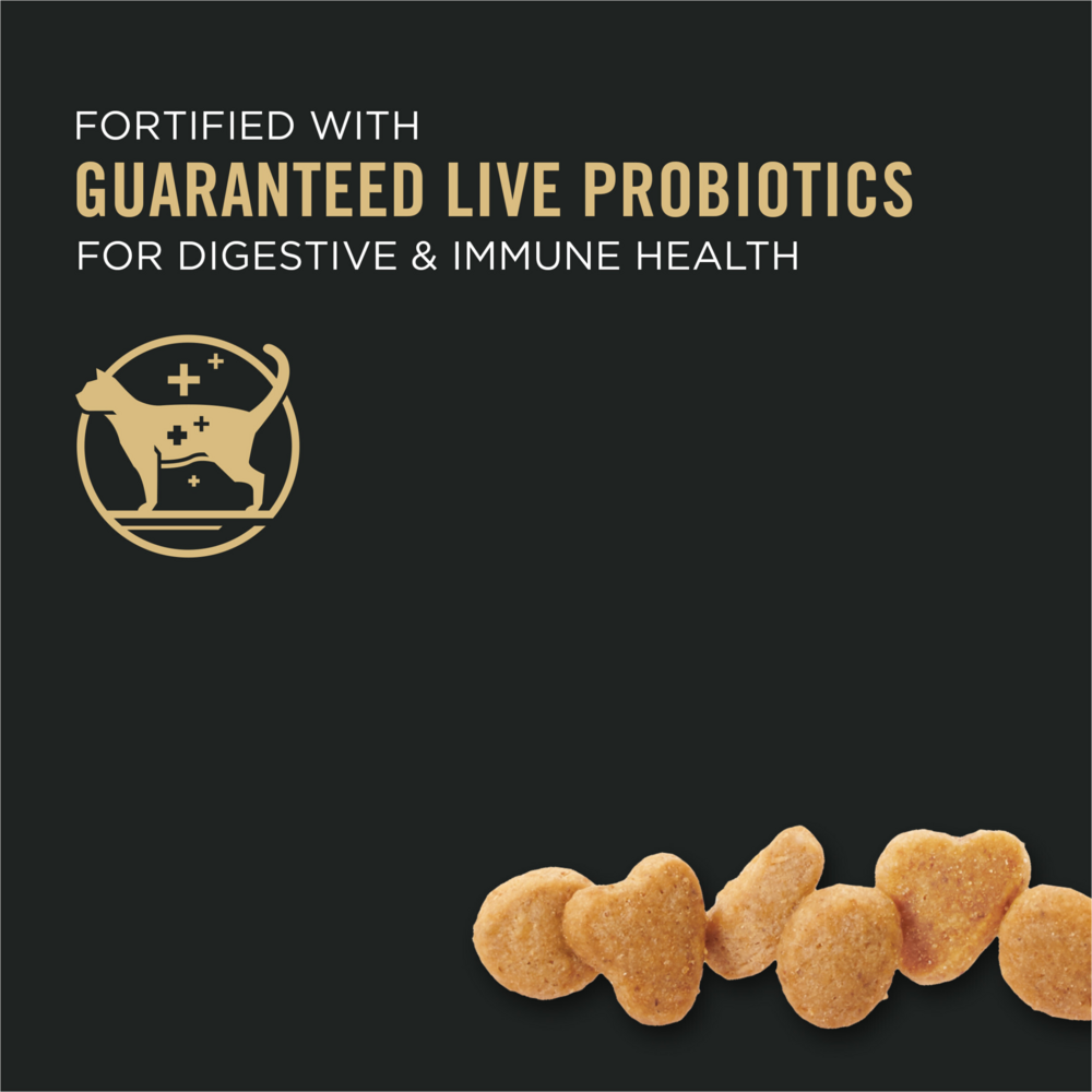 Purina Pro Plan Focus Adult Sensitive Skin & Stomach Lamb & Rice Formula Dry Cat Food - High Protein Digestive Health Cat Food for Sensitive Stomachs - Perfect for Indoor Cats with Allergies or Digestive Issues