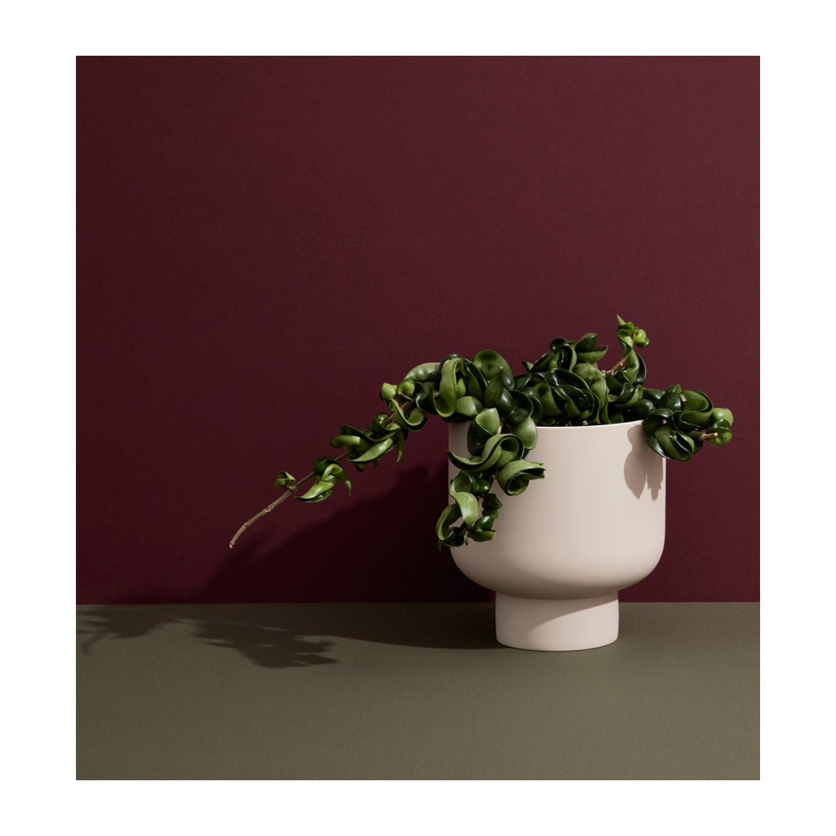 Fergus Small Planter - Modern Indoor/Outdoor Flower Pot for Home Decor, Office, Garden, and Balcony | Perfect for Succulents, Herbs, and Small Plants