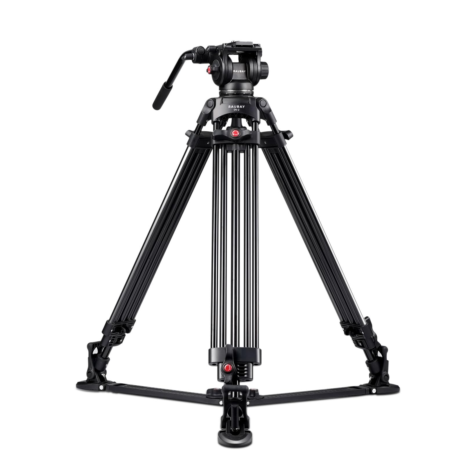 RAUBAY DV-2 Professional 69