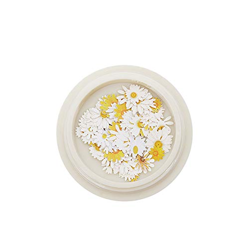 Flower Nail Art Stickers - Cartoon Floral Nail Decorations for DIY Manicure | Perfect for Nail Salon, Home Nail Art, Parties & Gifts