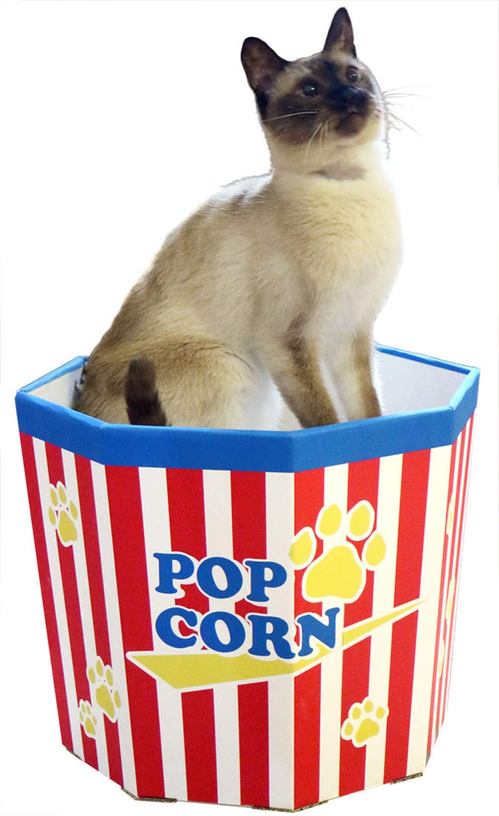 Premium Cat Scratcher House with Scratch Pad & Catnip - Durable Popcorn Cardboard Box for Indoor Cats - Perfect Kitty Scratching Corner for Play, Rest & Stress Relief