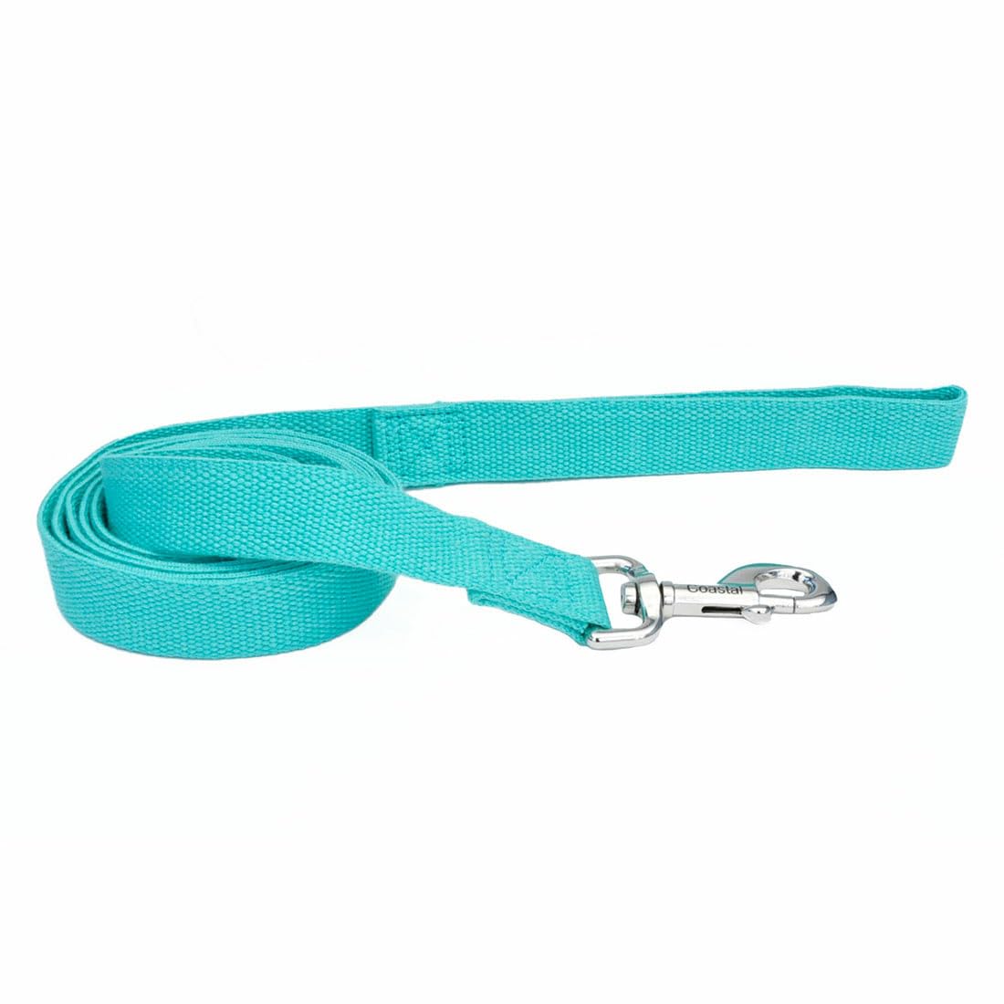 **Coastal New Earth Soy Dog Leash – Eco-Friendly Mint Green Pet Leash, 5/8