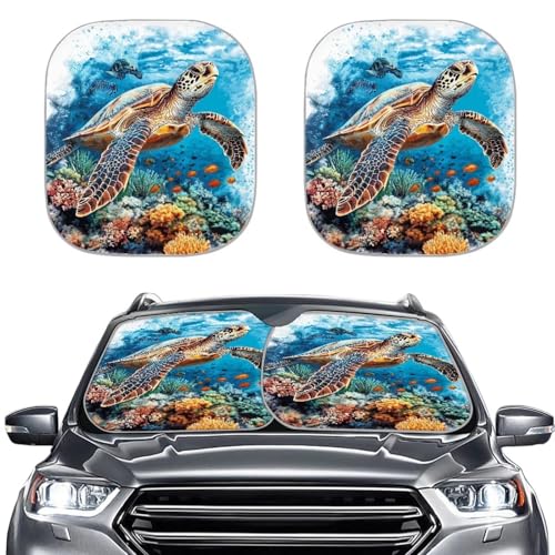 Sea Turtle