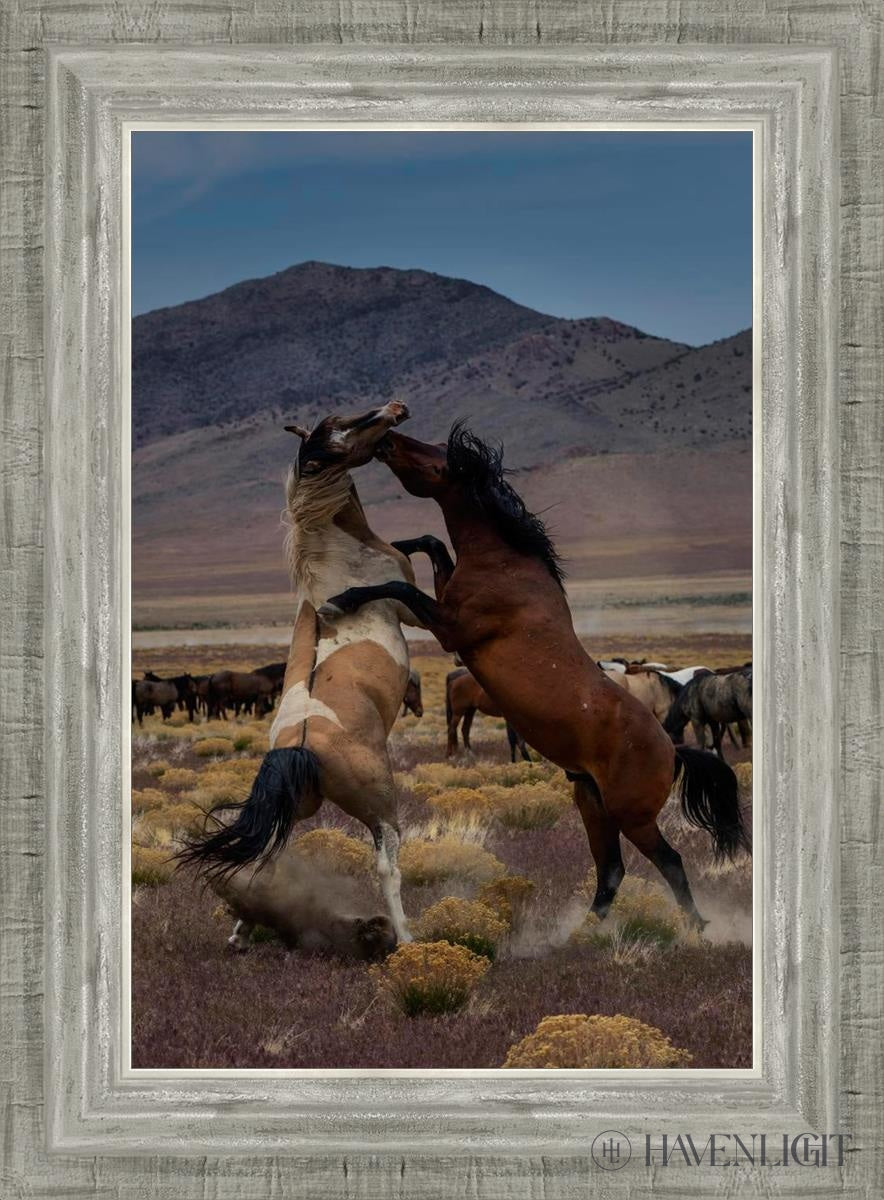 Desert Duel 1 by Greg Sargent - Western Adventure Novel for Adults | Perfect for Book Clubs, Gifts & Western Fiction Fans