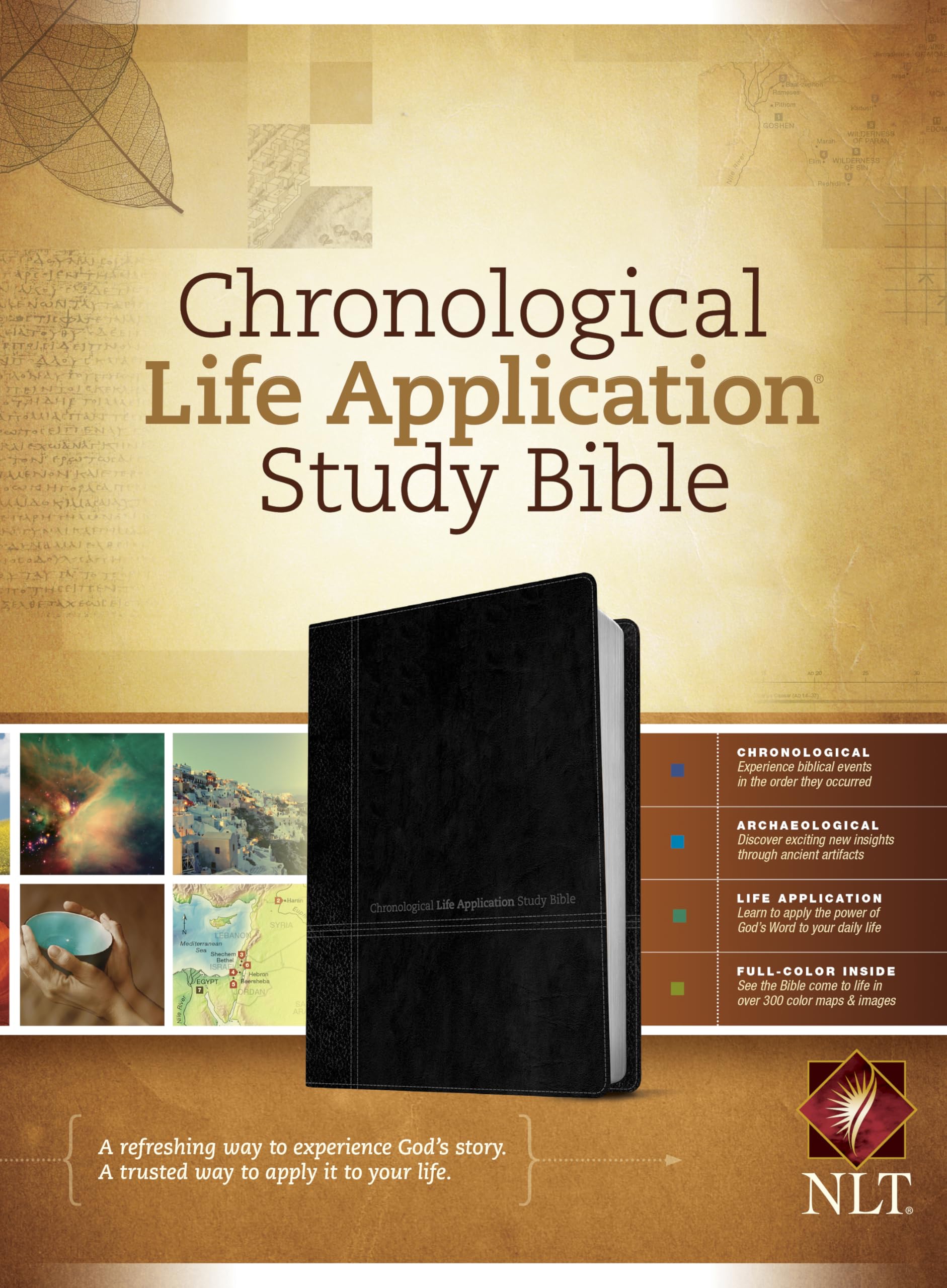Chronological Life Application Bible - LeatherLike Black/Onyx for Daily Devotion