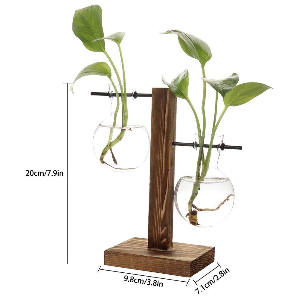 Retro Glass Terrarium Planter with Solid Wood Stand - Hydroponic Bulb Vase for Succulents, Air Plants | Perfect for Home, Office, Wedding & Garden Decor