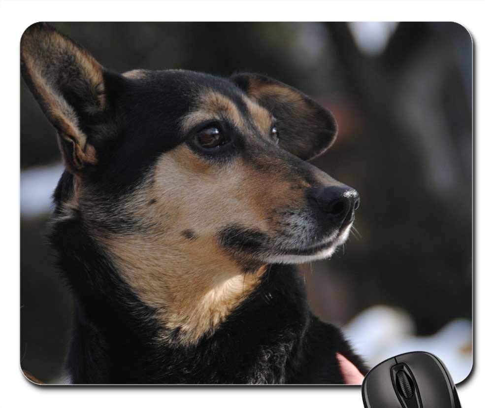 Premium Gaming Mouse Pad - Cute Sitting Dog Design, Non-Slip Rubber Base for PC & Laptop - Perfect for Gamers, Office Work & Home Use