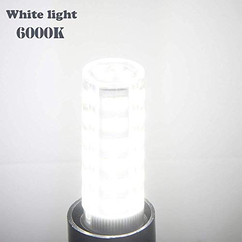 Daylight White