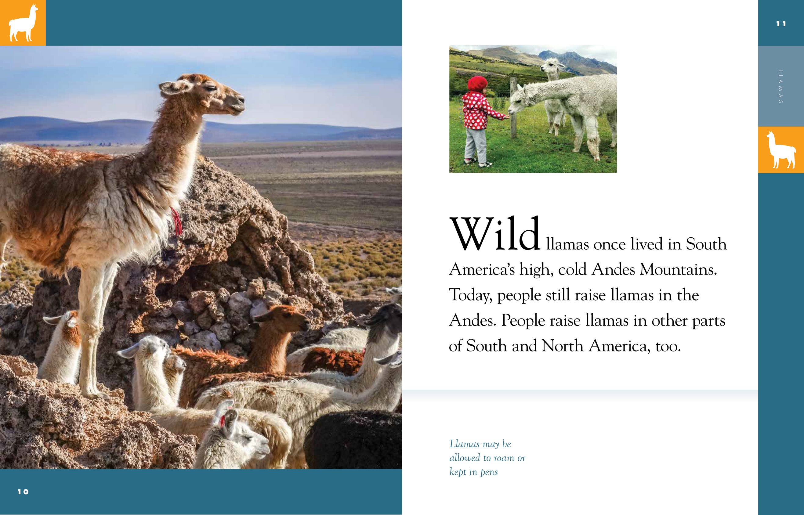 Amazing Animals (2014): Llamas - Educational Wildlife Documentary for Kids | Perfect for Homeschooling & Nature Learning