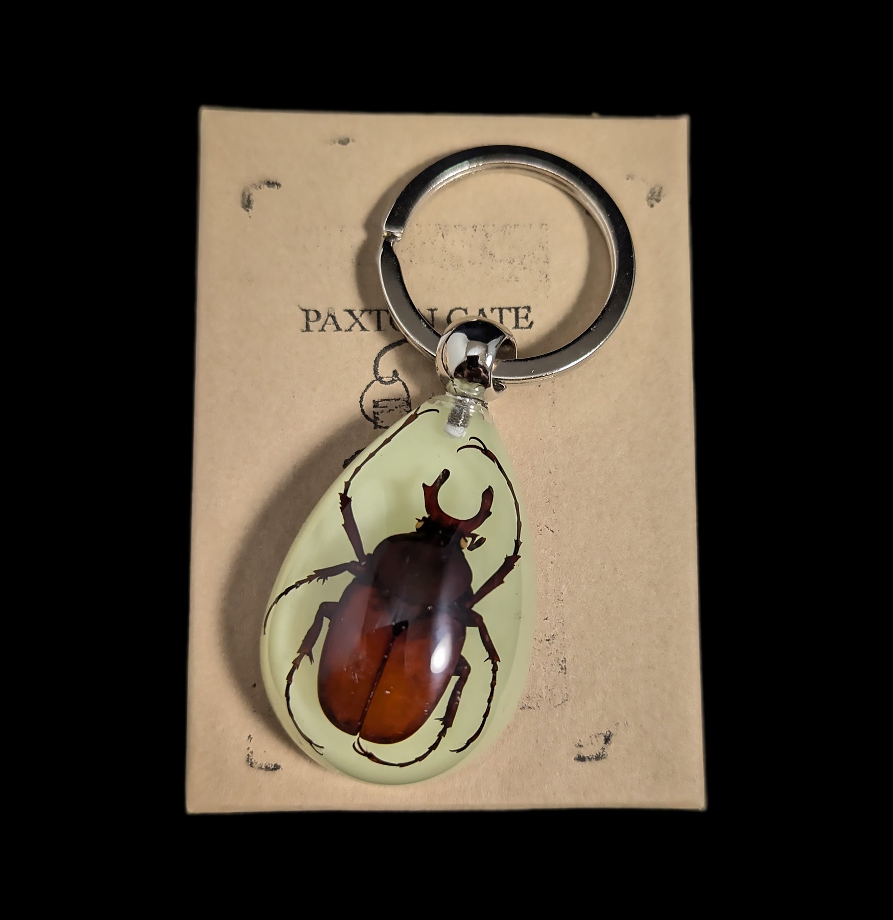 Glow in the Dark Antler Stag Beetle Keychain - Unique Night Vision Key Ring for Outdoor Camping, Hiking & Nighttime Safety
