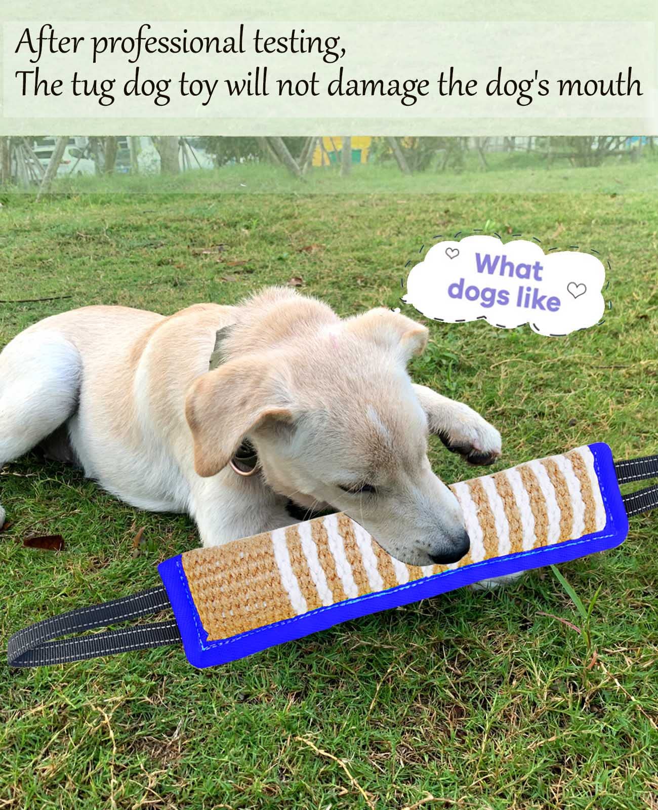 Durable Jute Tug Toy for Dogs - Bite Resistant Interactive Training Pillow with 2 Strong Handles for Puppy to Large Dogs | Perfect for Playtime, Obedience Training & Bonding with Your Pet