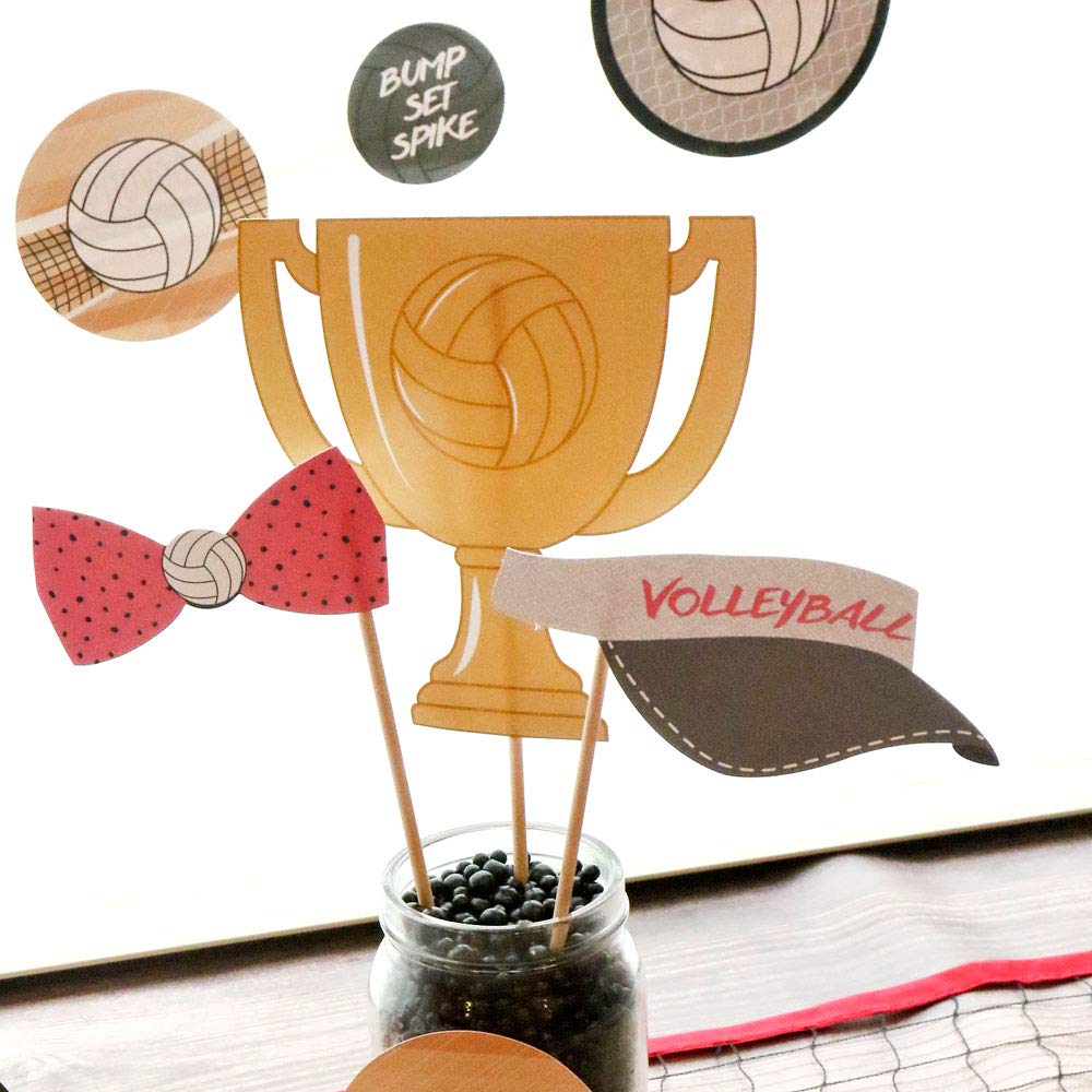Big Dot of Happiness Volleyball Party Decorations - 20-Piece Photo Booth Props Kit for Sports Themed Parties, Team Celebrations & Game Day Events