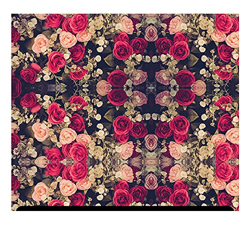 Red and Pink Roses