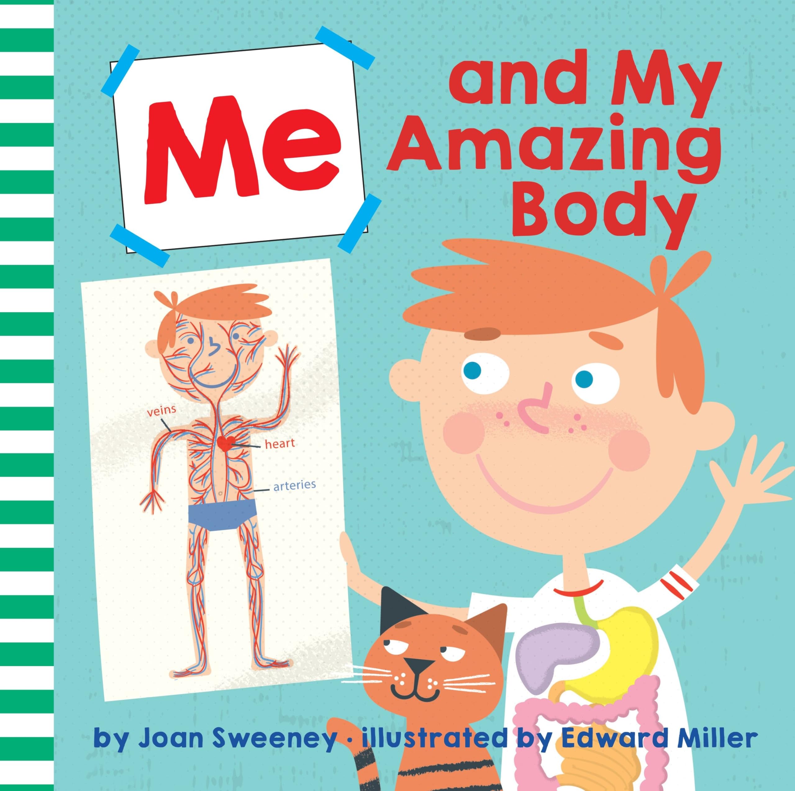 Me and My Amazing Body - Educational Kids Book About Human Anatomy | Perfect for Homeschooling & Classroom Learning