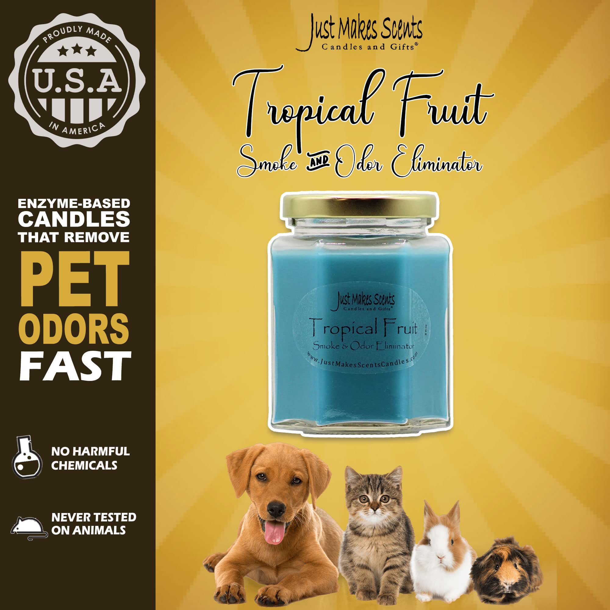 Just Makes Scents Tropical Fruit Scented Candle - Hand Poured in USA, Natural Smoke & Odor Eliminator for Home, Kitchen, Bathroom - Long Lasting Aromatherapy for Relaxation & Stress Relief