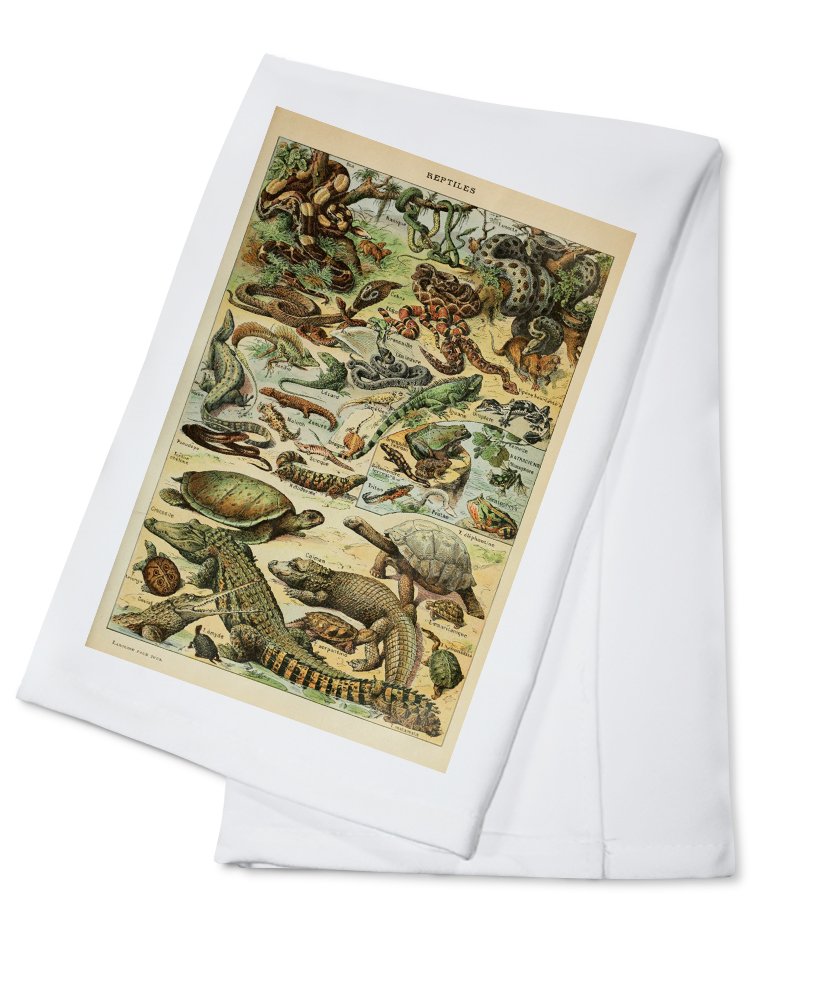 Vintage Reptile Bookplate Tea Towel - Adolphe Millot Art Inspired 100% Cotton Kitchen Hand Towel for Home Decor, Dish Drying & Gift Giving