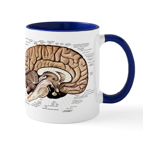 White/Navy Inside - Human Brain Mug