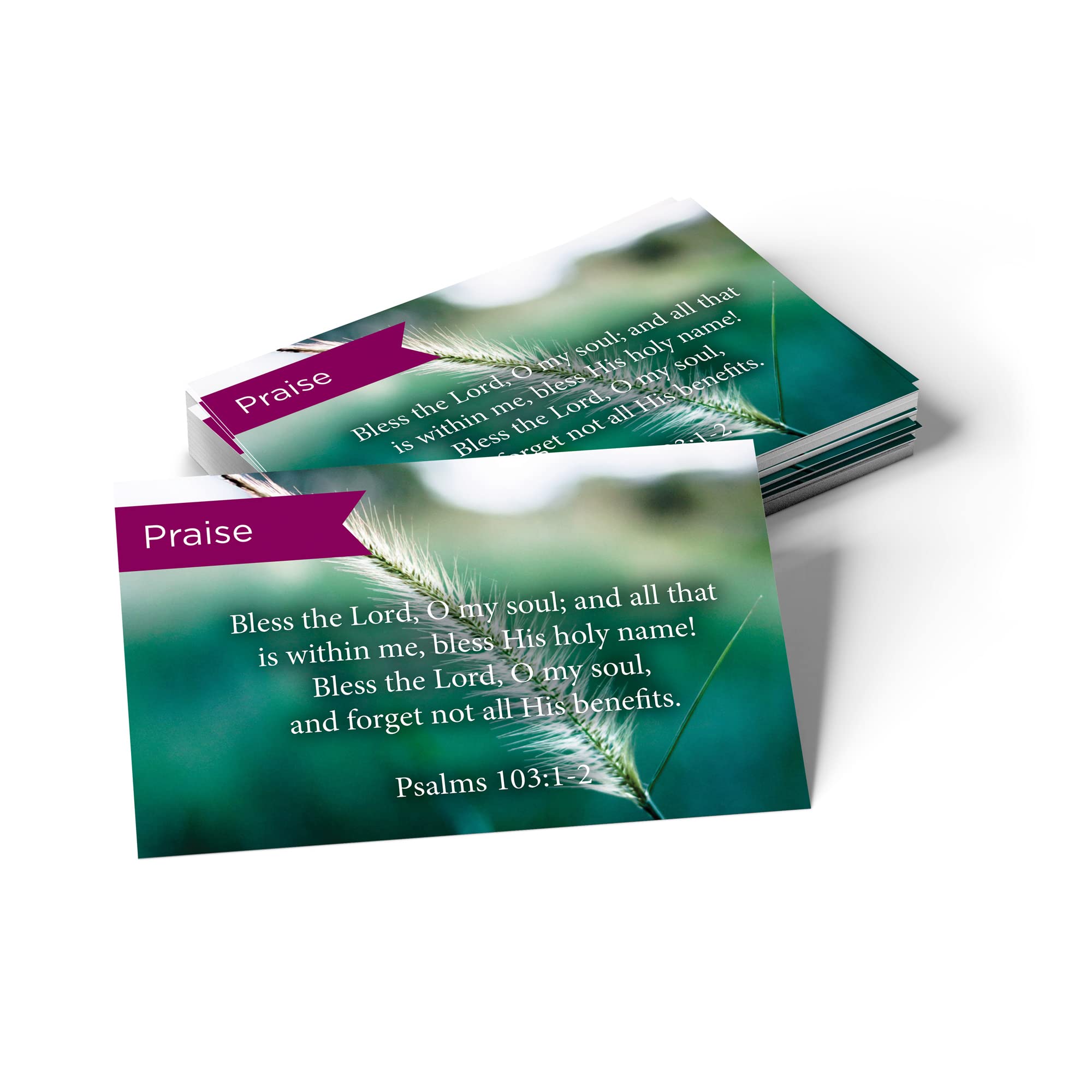 Pass It On Scripture Cards - Pack of 25 Inspirational Bible Verse Wallet Cards with Psalm 103:12 | Perfect for Christian Devotionals, Bible Study Groups, Scripture Memorization & Encouragement Gifts | Compact Greeting Cards for Church Events, Small Groups & Personal Faith Journey