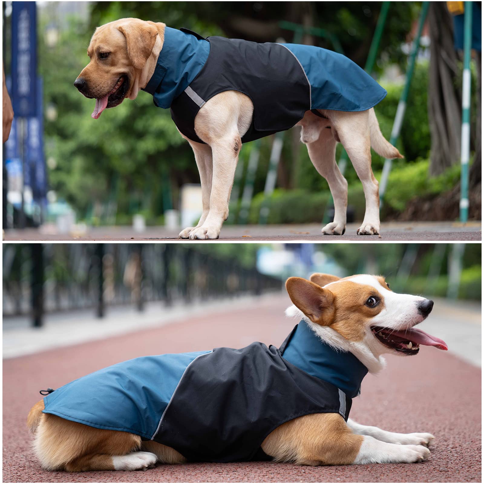 Windproof & Waterproof Dog Winter Coat - Warm Outdoor Jacket with Leash Hole for Cold Weather, Black & Blue - Perfect for Walking, Hiking & Rainy Days