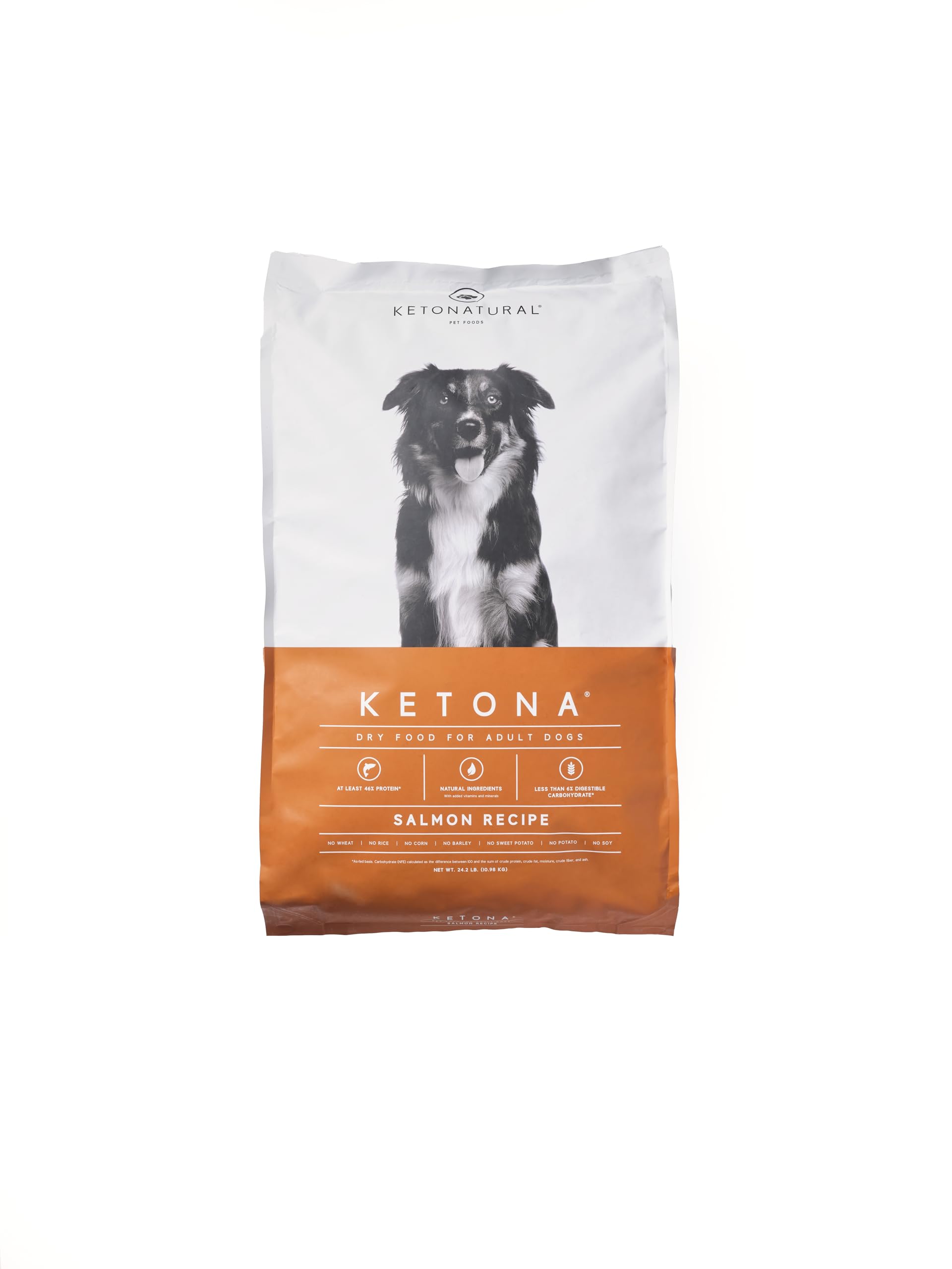Ketona Salmon Recipe Adult Dry Dog Food - Natural, Low Carb (5%), High Protein (46%), Grain-Free - Raw Diet Nutrition with Kibble Convenience - 24.2 lb Bag for Active Dogs & Weight Management